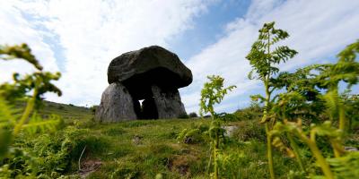 YHA Rowen Local Area