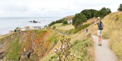 YHA Lizard View