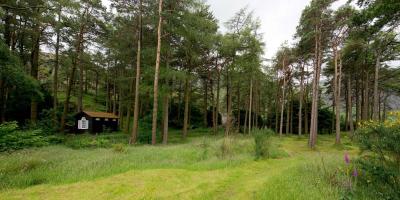 YHA Idwal Cottage Forest