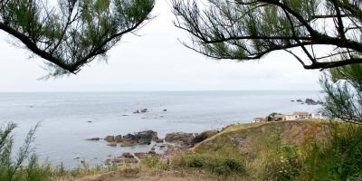 YHA Lizard Sea View