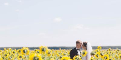 Bride and groom in a field of sunflowers