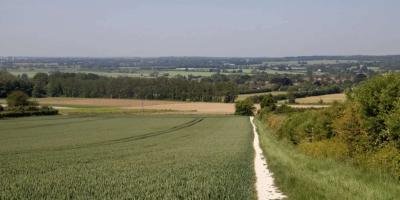 View of a field in the countryside