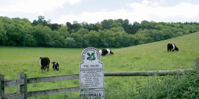 YHA Streatley Grounds