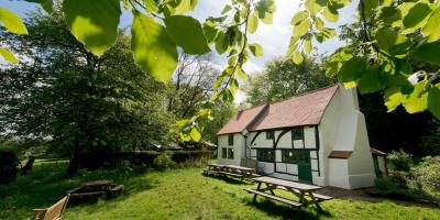 Garden and picnic tables