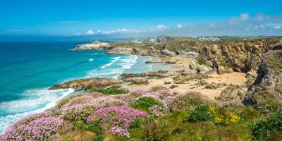 coastal bay on a sunny day