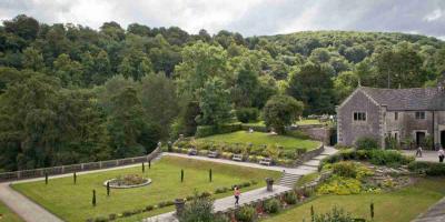 YHA Ilam Hall gardens
