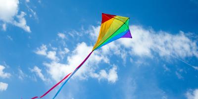 Kite in the sky