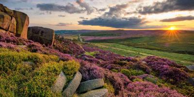 North Yorkshire Moors National Park at sunset North Yorkshire Moors National Park at sunset