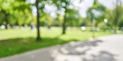 Blurred image of a park
