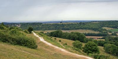South Downs landscape view