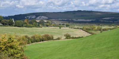 South Downs local area
