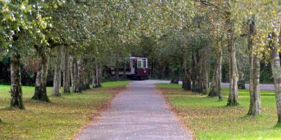 Path lined with trees leading towards a tram