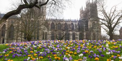 View of York Minster from Dean's Park