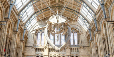 Natural history museum