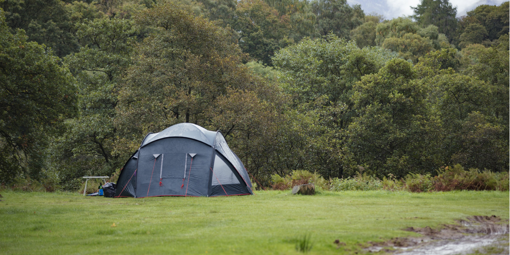 Camping in the woodland