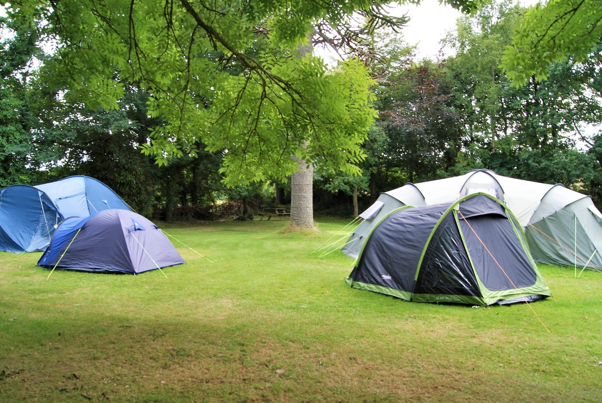 4 tents in campsite in Cornwall