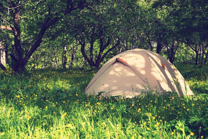 Cream tent