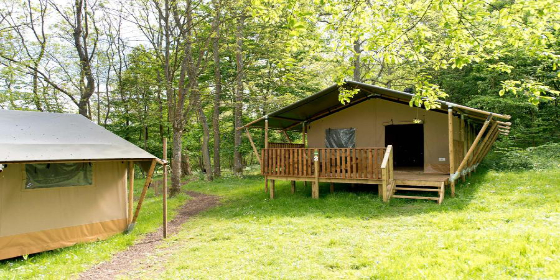 Safari tent