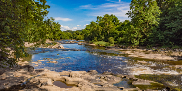 Aysgarth Falls