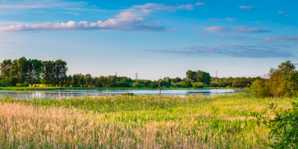 Greenlee Lough Nature Reserve view