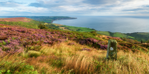 North York Moors National Park