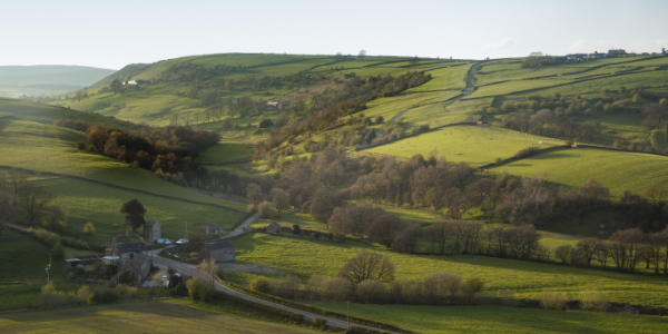 Staffordshire view