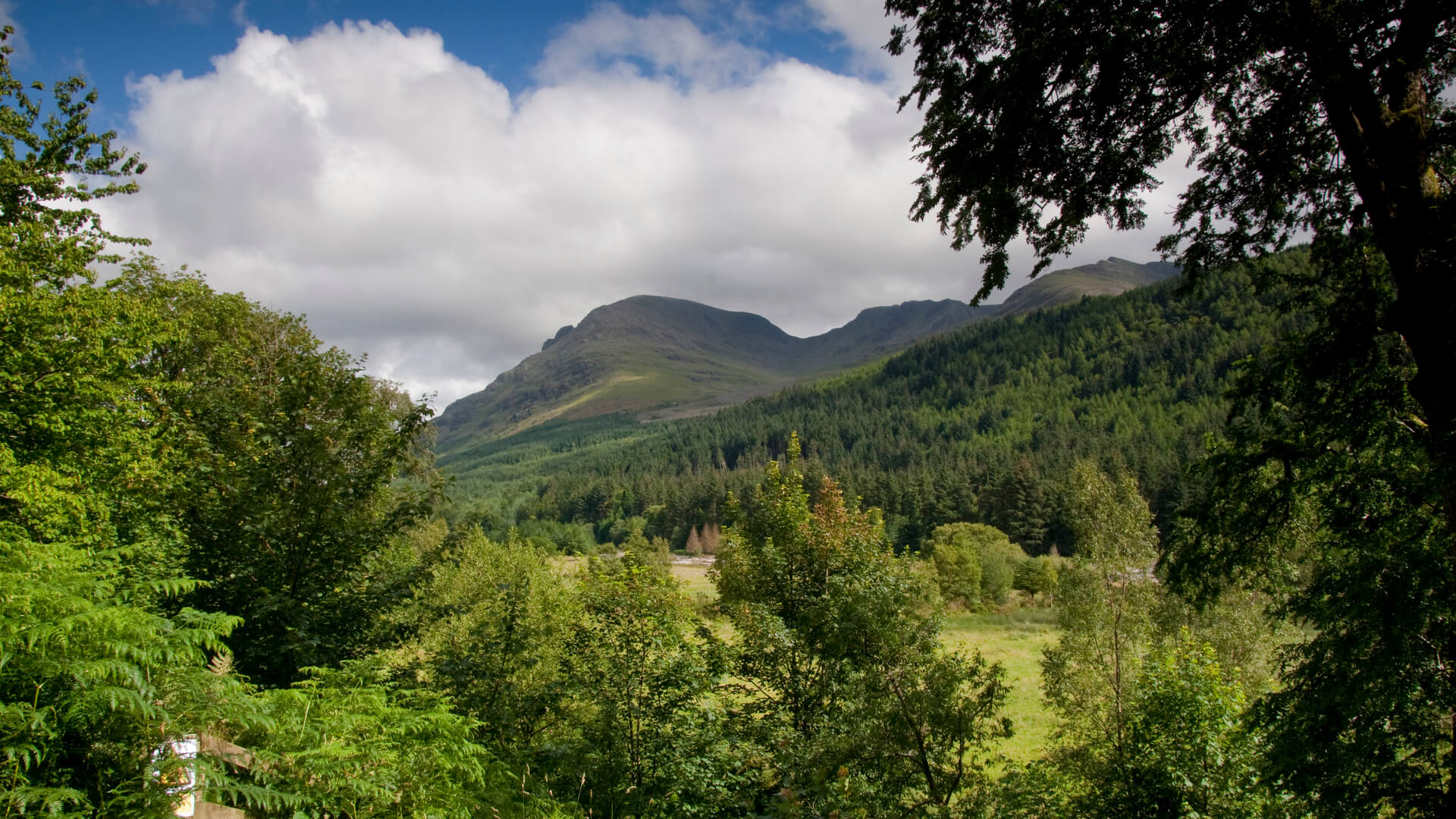 YHA Ennerdale view