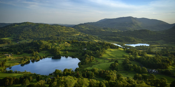 Lake and forest view