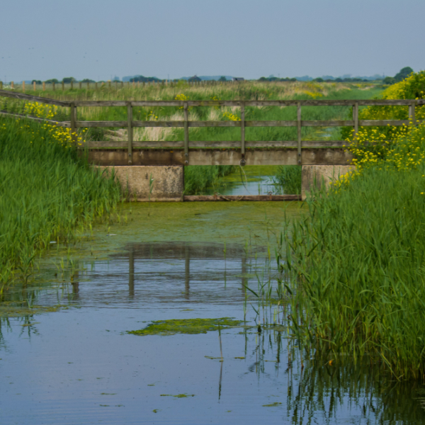 View of countryside in Lincolnshire