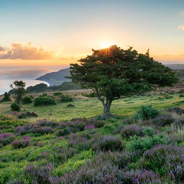 View of the Somerset countryside at dusk