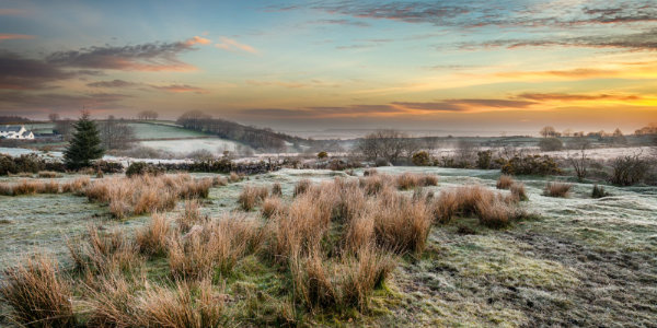 View of Dartmoor Landscape