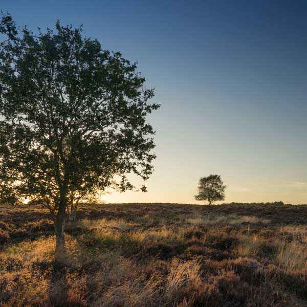 View of the sunset across the Suffolk countryside