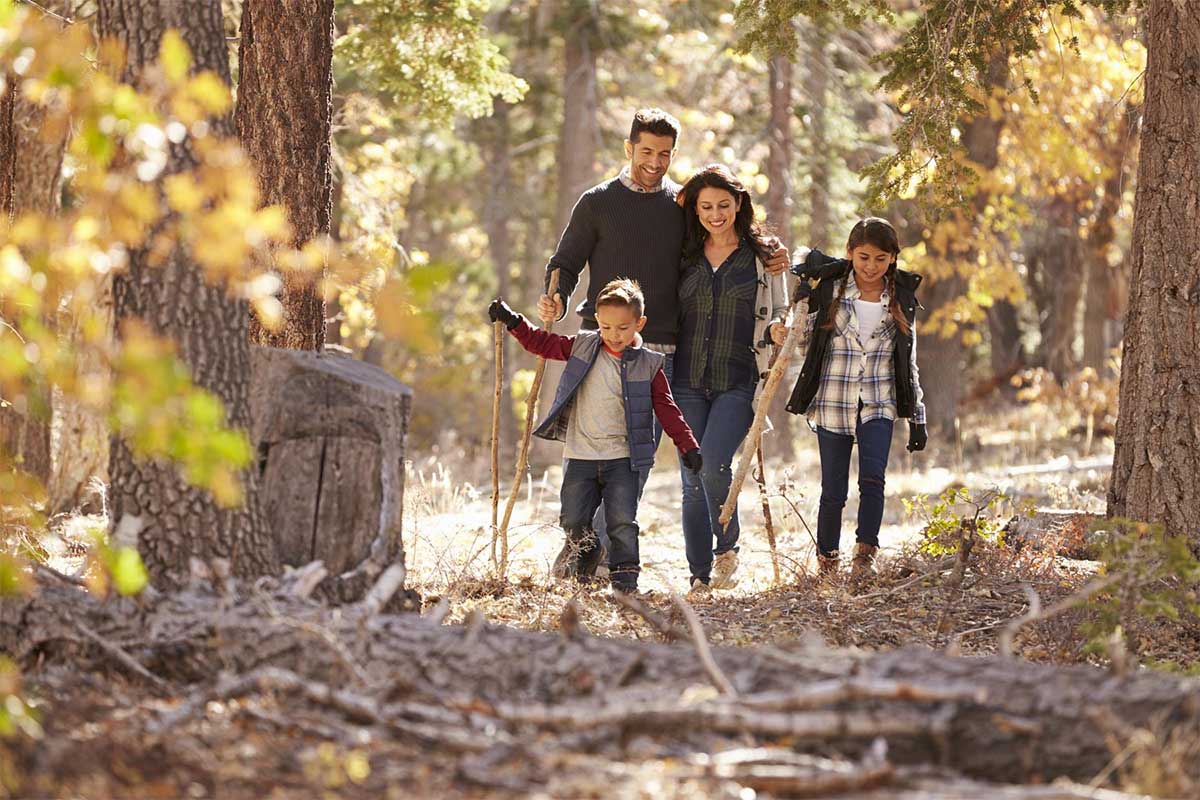 Free breaks for families