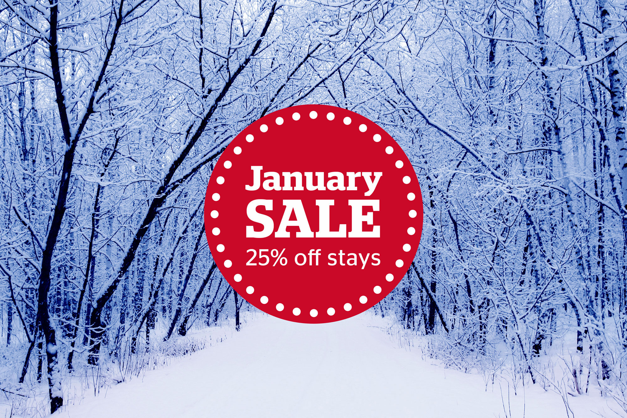 January sale