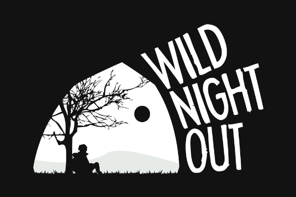 Wild Night Out logo