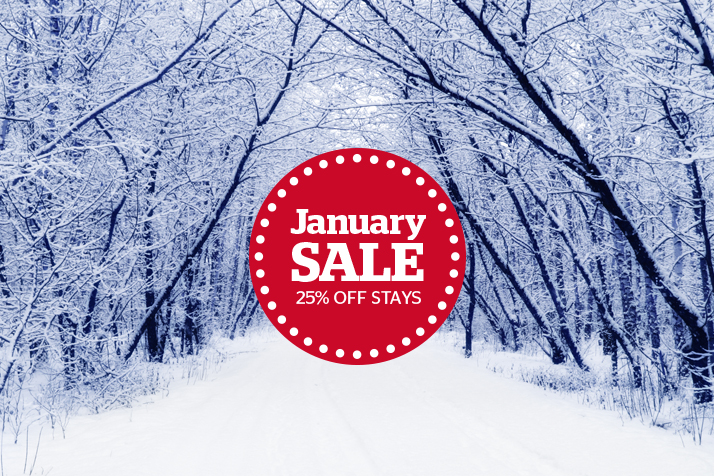 January sale