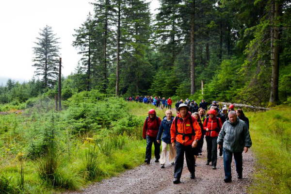 Group of walkers